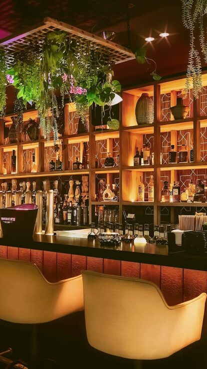 Une sélection de cocktails, vins, bières et softs pour tous les goûts